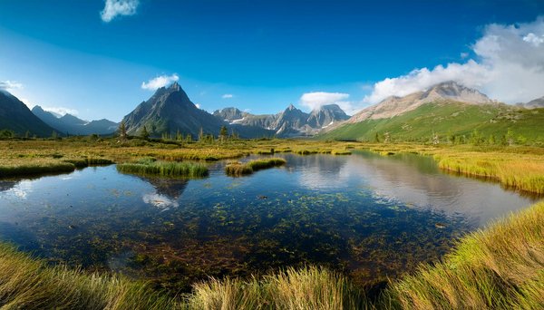 Discover the Captivating History of British Ceramics: Immersive Tours in Stoke-on-Trent for Curious Adventurers
